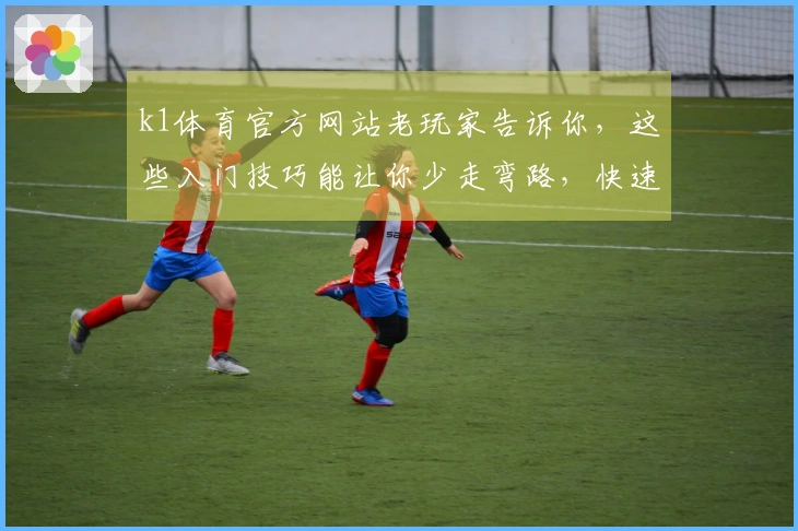 k1体育官方网站老玩家告诉你，这些入门技巧能让你少走弯路，快速上手！