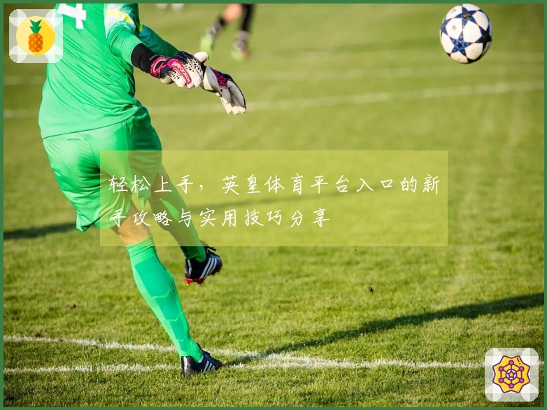 轻松上手，英皇体育平台入口的新手攻略与实用技巧分享