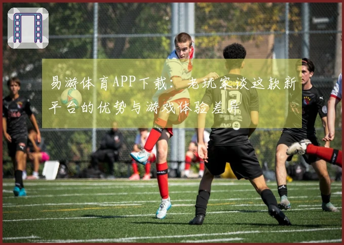 易游体育APP下载：老玩家谈这款新平台的优势与游戏体验差异