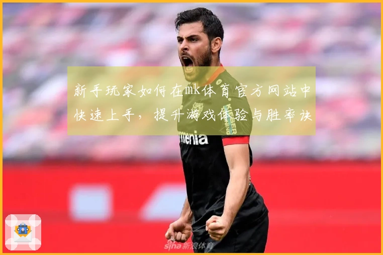 新手玩家如何在mk体育官方网站中快速上手，提升游戏体验与胜率诀窍